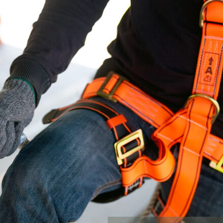 Straps – Harnesses